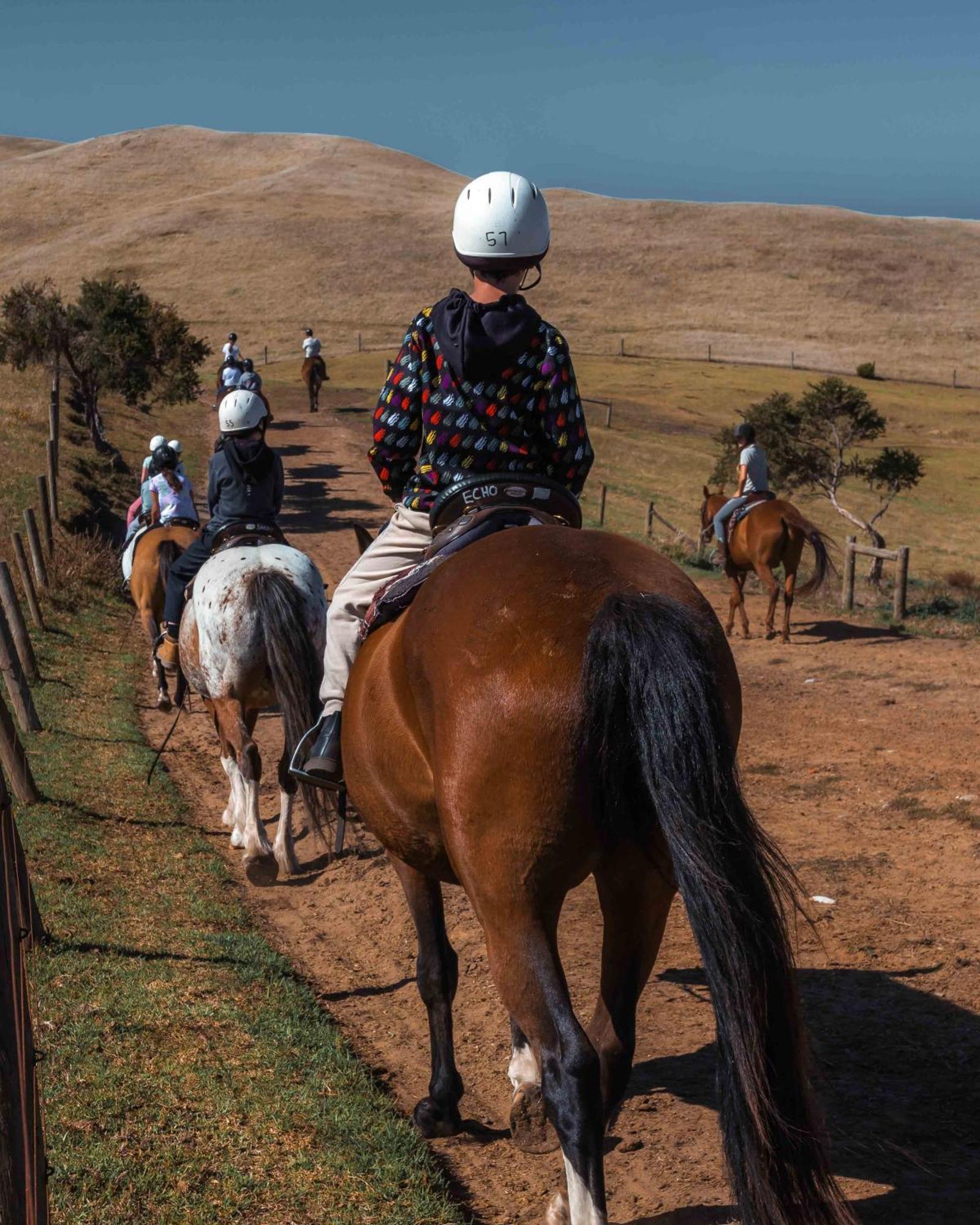 The Ranch Mornington Peninsula Villa Boneo Buitenkant foto